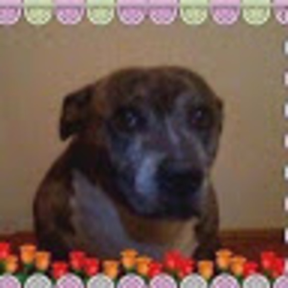 Meet your Posher, Monte - Picture 1 of 1